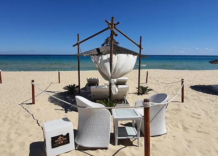 Dei Viandanti Olia Speciosa